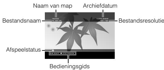 JVC CU-VD40ER - Wanner men stilstaande beelden aftspeelt opgeslagen op een Everio camera met een hoge definitie - 1