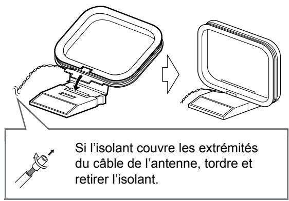 Si l'isolant couvre les extrémités du câble de l'antenne, tordre et retirer l'isolant.