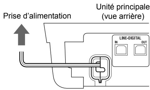 Prise d'alimentation Unité principale (vue arrière) LINE-DIGITAL IN OUT