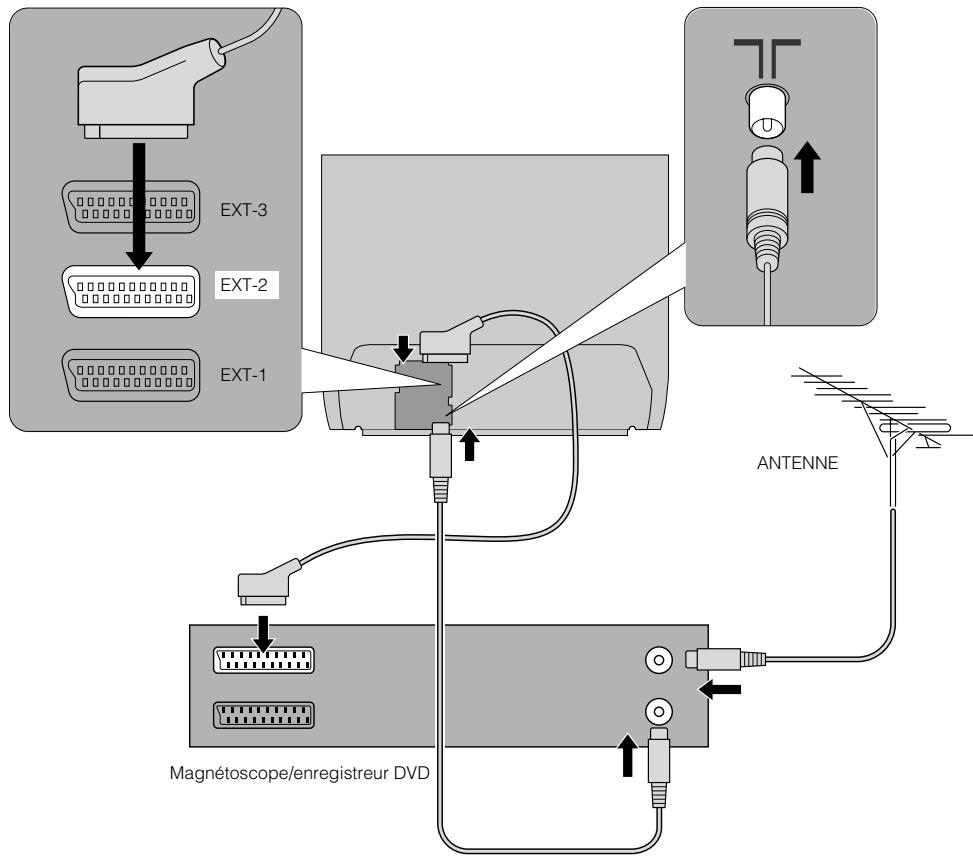 EXT-3, EXT-2, EXT-1, ANTENNE, Magnétoscope/enregistreur DVD