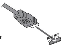 JVC NX-T5E - HDMI-Kabel (nicht mitgeliefert) - 1