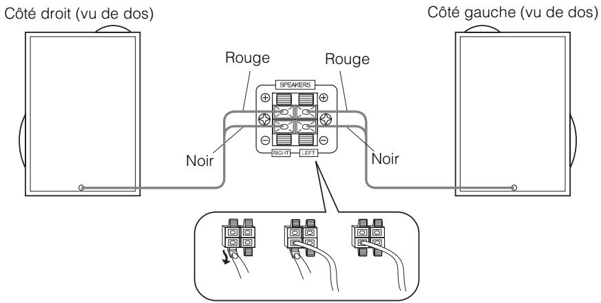 JVC CA-MXKB2 - Branchement des enceintes acoustiques - 1