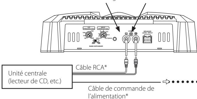 KENWOOD KAC-6104D - - Raccordement d'un câble à fiche cinch (RCA) - 1