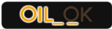 CITROEN C3 2 2009 - Oil level indicator fault - 1