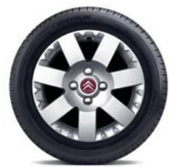 CITROEN C3 PLURIEL - PETROL ENGINE AVAILABILITY - 5