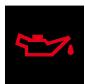 CITROEN C3 PLURIEL 2008 - Les témoins lumineux peuvent être accompagnés d'un message et/ou d'un signal sonore - 1