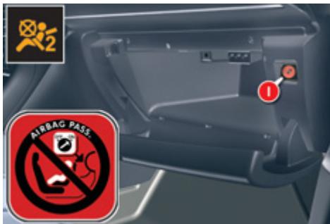 AIRBAG PASS