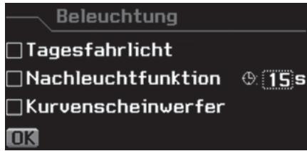 Beleuchtung □ Tagesfahrlicht □ Nachleuchtfunktion 15s □ Kurvenscheinwerfer OK