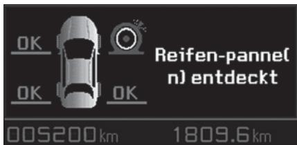 Reifen-pannel (n) entdeckt 005200km 1809.6km