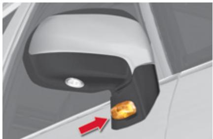 CITROEN GRAND C4 PICASSO 2011 - Udskiftning af pære i sideblink - 1