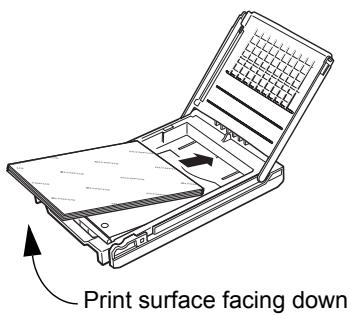 OLYMPUS P-11 - Printing on 4 × 6 paper - 2