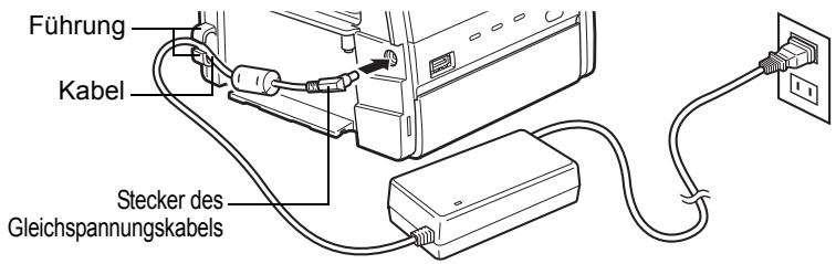 OLYMPUS P-11 - Papierfach - 4