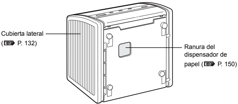 OLYMPUS P-11 - Fondo - 1