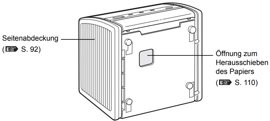OLYMPUS P-11 - Unterseite - 1