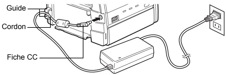 OLYMPUS P-11 - Branchement de l'alimentation et mise en marche/arrêt de l'imprimante - 3