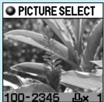 OLYMPUS P-400 - 12 - 2