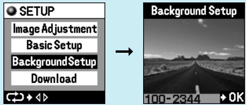 OLYMPUS P-400 - Tip - 4