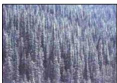 OLYMPUS P-400 - Caution - 11