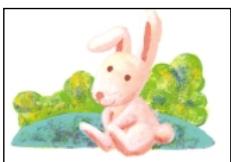 OLYMPUS P-400 - Caution - 45