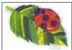 OLYMPUS P-400 - Caution - 46