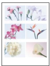 OLYMPUS P-400 - Printing Patterns When using A4 paper - 5