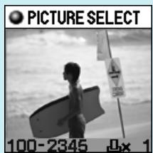 OLYMPUS P-400 - 10 - 2