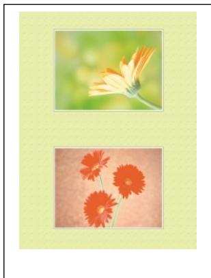 OLYMPUS P-400 - Caution - 1