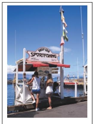 OLYMPUS P-400 - - Print Processing - 1