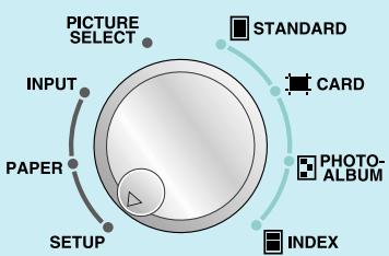 OLYMPUS P-400 - Prepare a background - 2