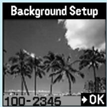 OLYMPUS P-400 - Tip - 6