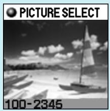 OLYMPUS P-400 - Select the picture to be printed - 5