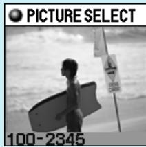 OLYMPUS P-400 - Tip - 2