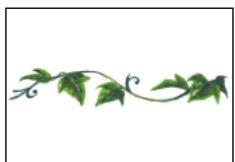 OLYMPUS P-400 - Caution - 22