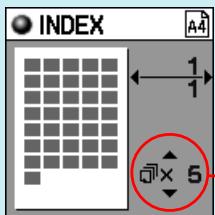 OLYMPUS P-400 - Index printing - 6