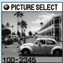 OLYMPUS P-400 - Select the image to be printed - 5