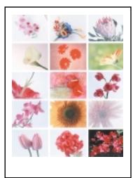 OLYMPUS P-400 - Printing Patterns When using A4 paper - 8