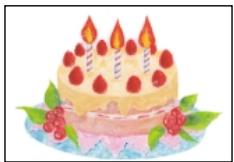 OLYMPUS P-400 - Caution - 3