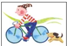 OLYMPUS P-400 - Caution - 13