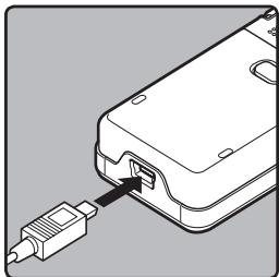 OLYMPUS DM-450 - Macintosh - 2