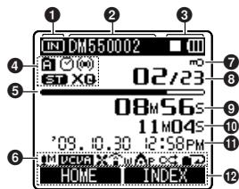 OLYMPUS DM-450 - File display - 1