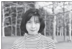 OLYMPUS FL-36 R - Portrait shooting - 2