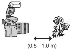 OLYMPUS FL-36 R - Close-up flash - 1