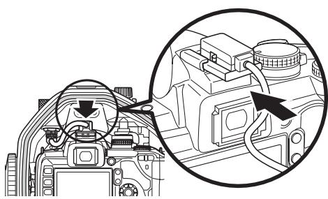 OLYMPUS PT-E05 - Using the electronic flash with the TTL cable - 2