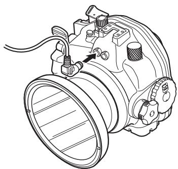 OLYMPUS PT-E06 - How to connect the underwater optical fiber cable - 1