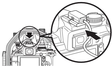 OLYMPUS PT-E06 - How to connect the hot shoe cable - 2