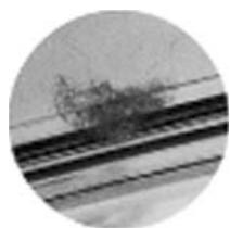 OLYMPUS PT-E06 - CAUTION: - 2