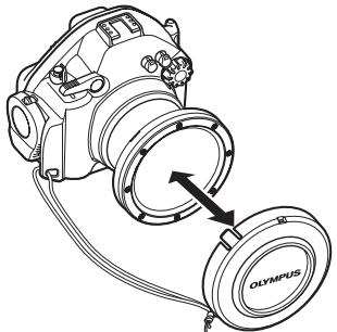 OLYMPUS PT-EP01 - Removal - 4