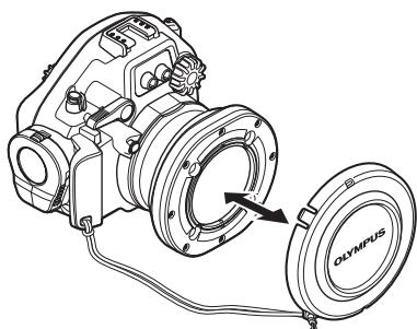 OLYMPUS PT-EP05L - Removal - 4