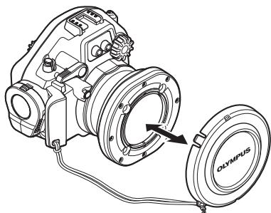 OLYMPUS PT-EP06L - Removal - 4