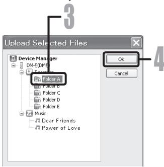 OLYMPUS DM-3, DM-5, DM-650, DM-670 - Notes - 3